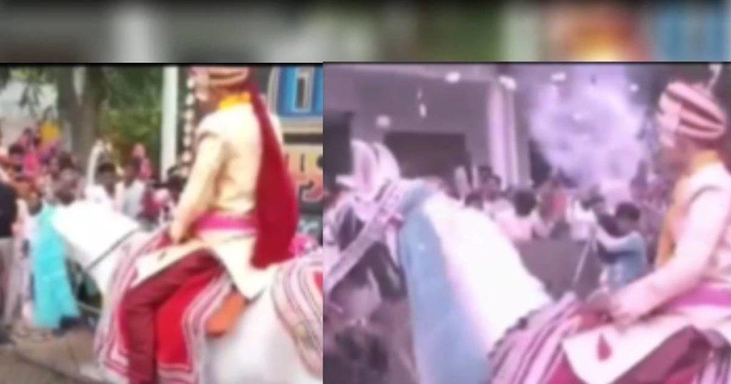 Groom hilarious video horse run away with groom after listening crackers  funny wedding video - MP 7 NEWS